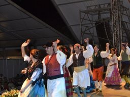 Festival de Folkore en Mula